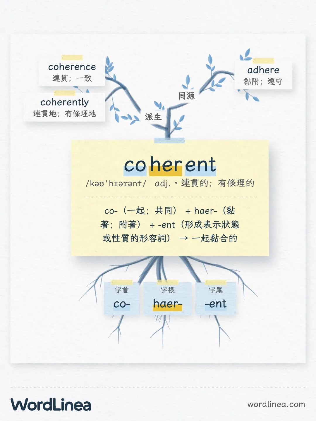 coherent 的詞樹分享圖:中間黃卡寫著 coherent 和它的拆法 co-(一起;共同)+ haer-(黏著;附著)+ -ent → 一起黏合的,上面「派生」枝長出 coherence、coherently,「同源」枝長出 adhere,下面是三個詞素的根